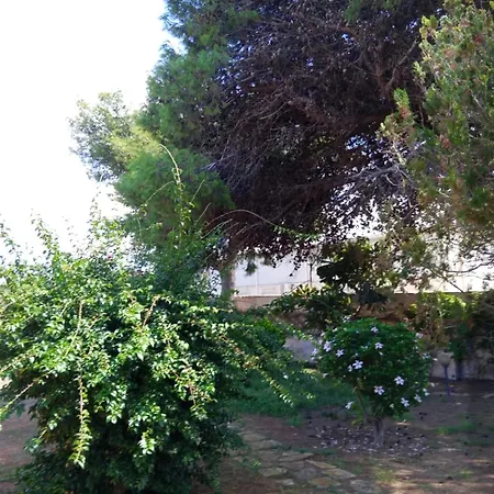 Dom wakacyjny Charming House In With Private Garden *