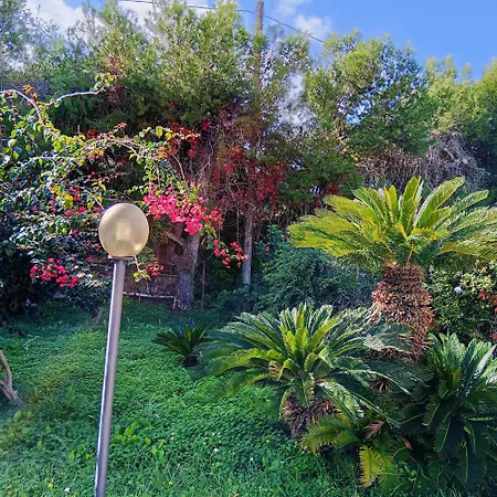 Dom wakacyjny Charming House In With Private Garden Marsala