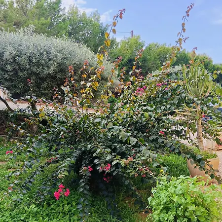 Charming House In With Private Garden Marsala